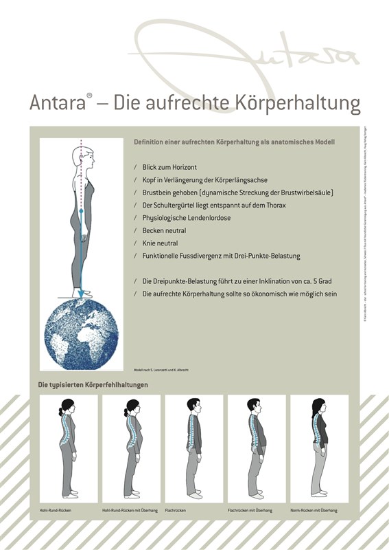 Sitzkeilkissen - med. Rücken-Center Zürich